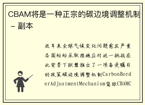 CBAM将是一种正宗的碳边境调整机制 - 副本